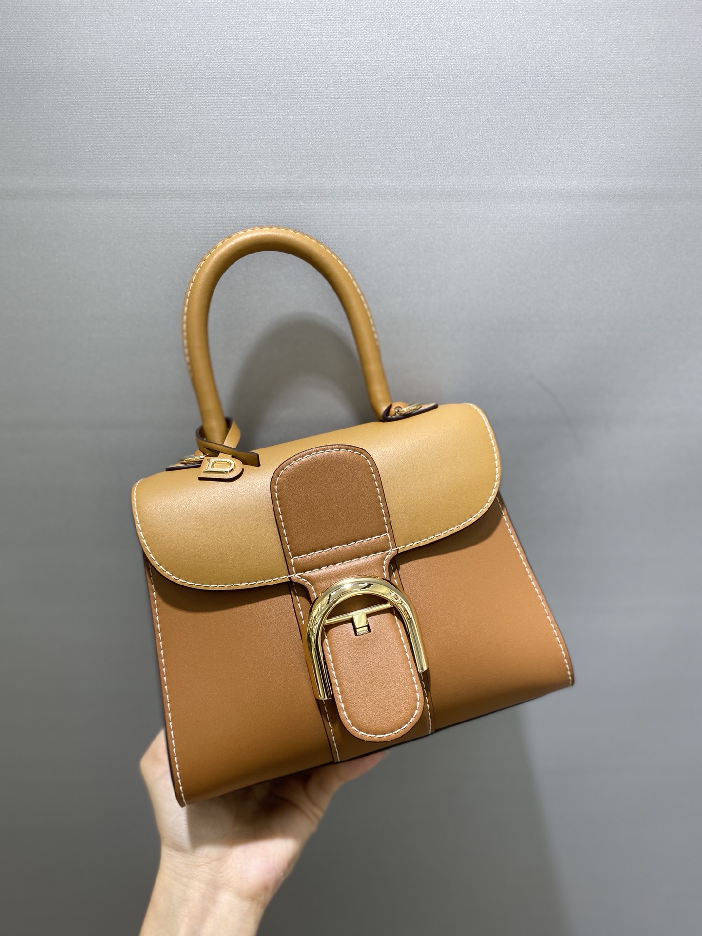 델보 브리앙 박스백 미니